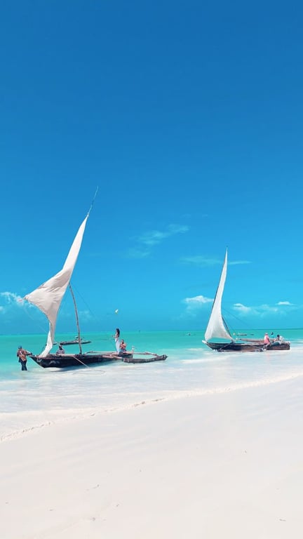Zanzibar-MITREAT