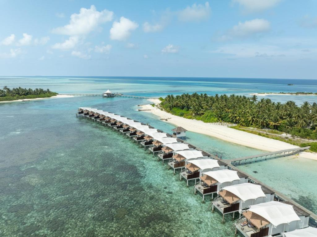 Cinnamon Hakuraa Huraa