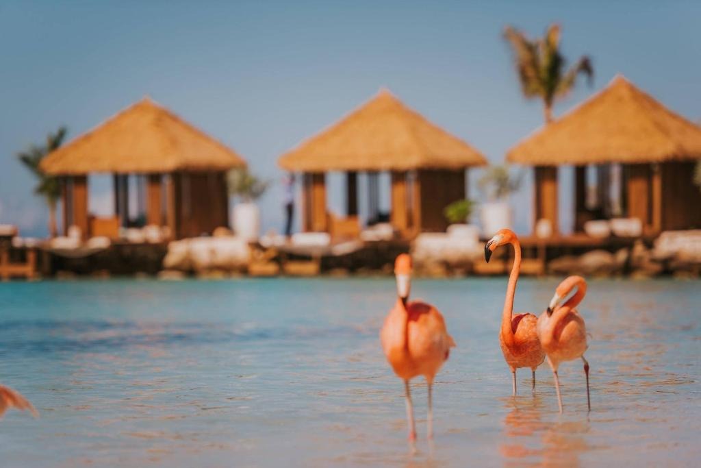 Renaissance Wind Creek Aruba