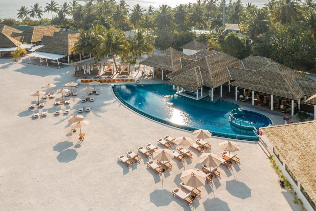Cinnamon Hakuraa Huraa