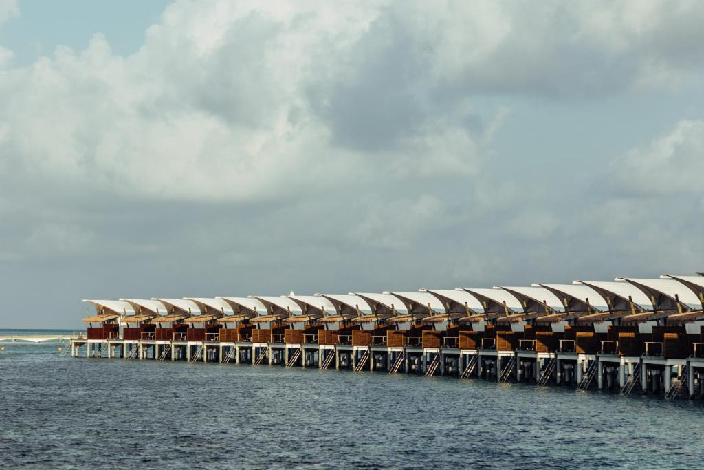 Cinnamon Hakuraa Huraa