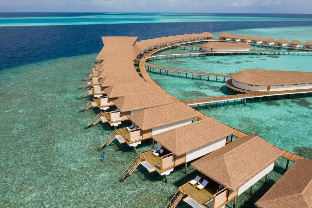 Cinnamon Velifushi