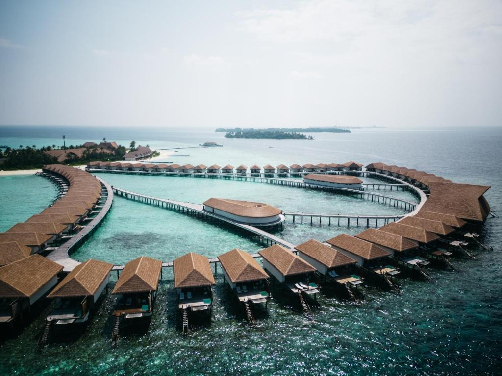 Cinnamon Velifushi