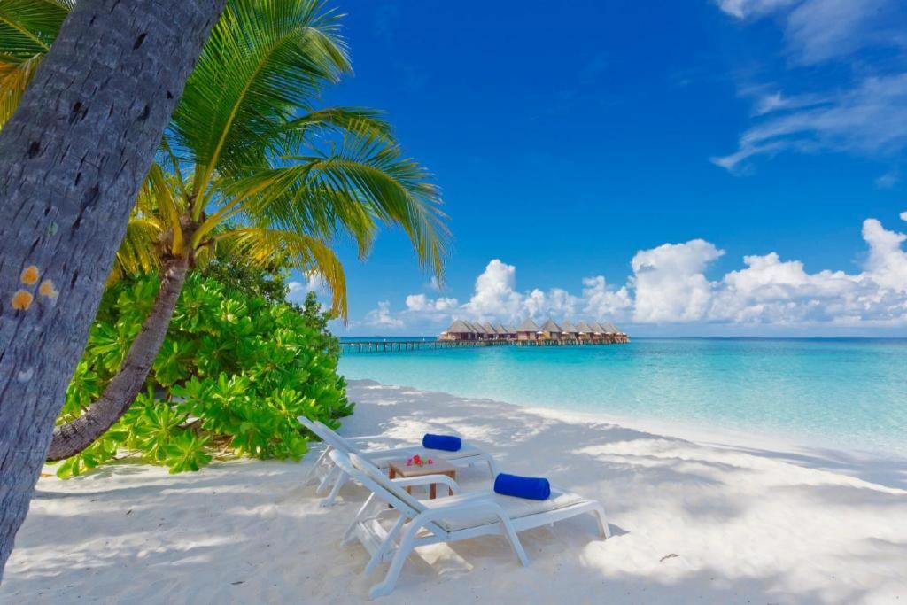 Angaga Island Resort and Spa