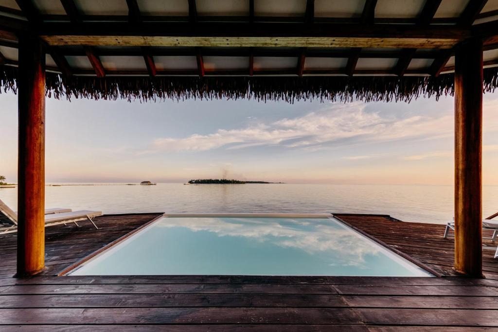 Cinnamon Velifushi
