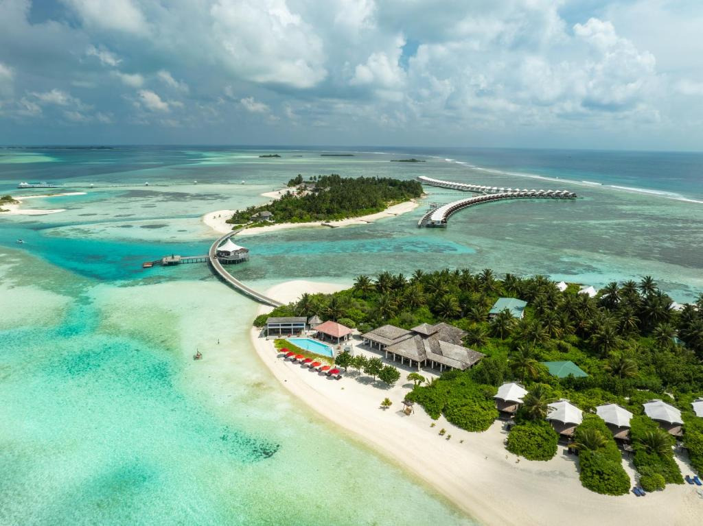 Cinnamon Hakuraa Huraa