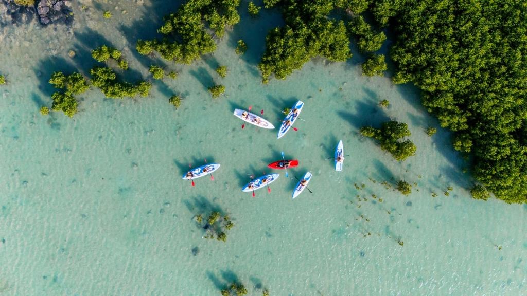 Lagoon Attitude