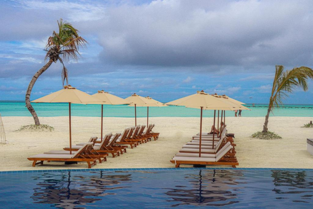 Cinnamon Hakuraa Huraa