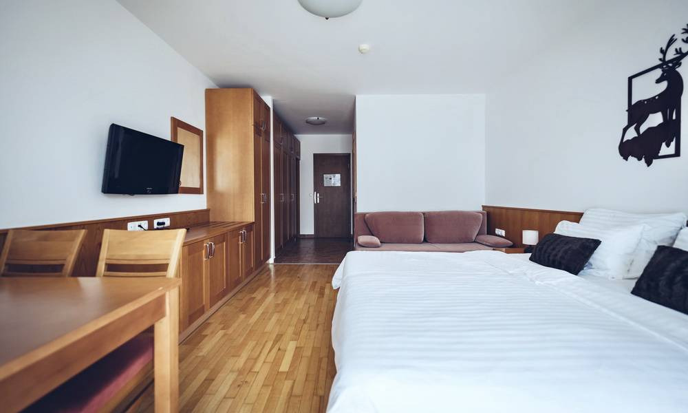 Hotel Bolfenk