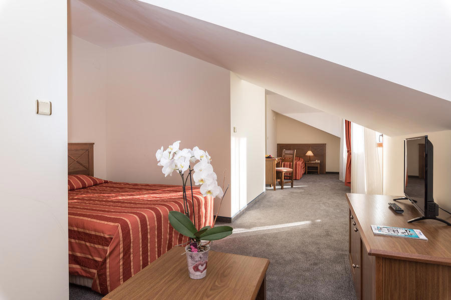 Hotel Evelina Palace