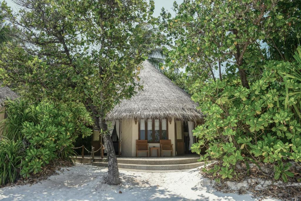 Coco Palm Dhuni Kolhu