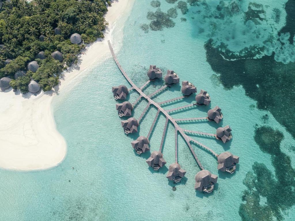 Coco Palm Dhuni Kolhu