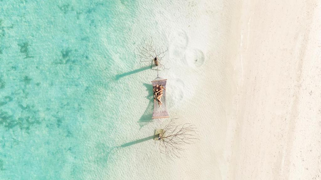 Cocoon Maldives
