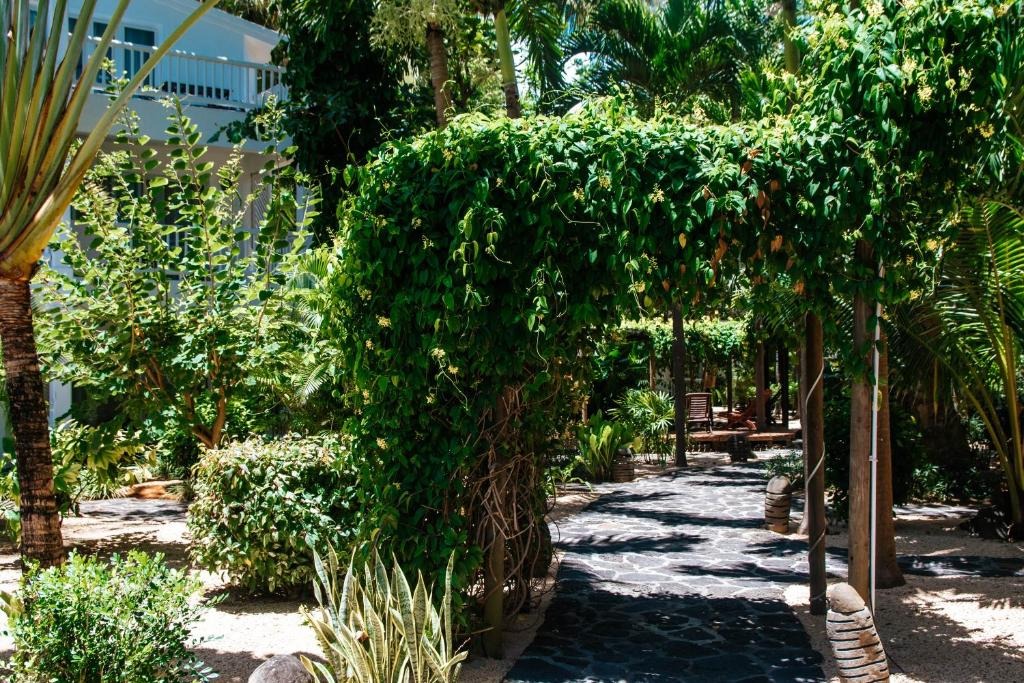 Hibiscus Boutique Hotel