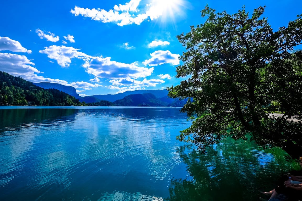 Božićna čarolija Slovenije
