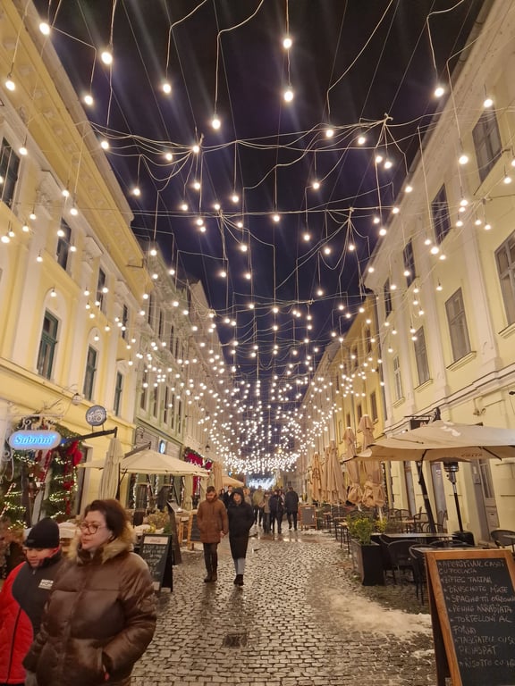 Temišvar