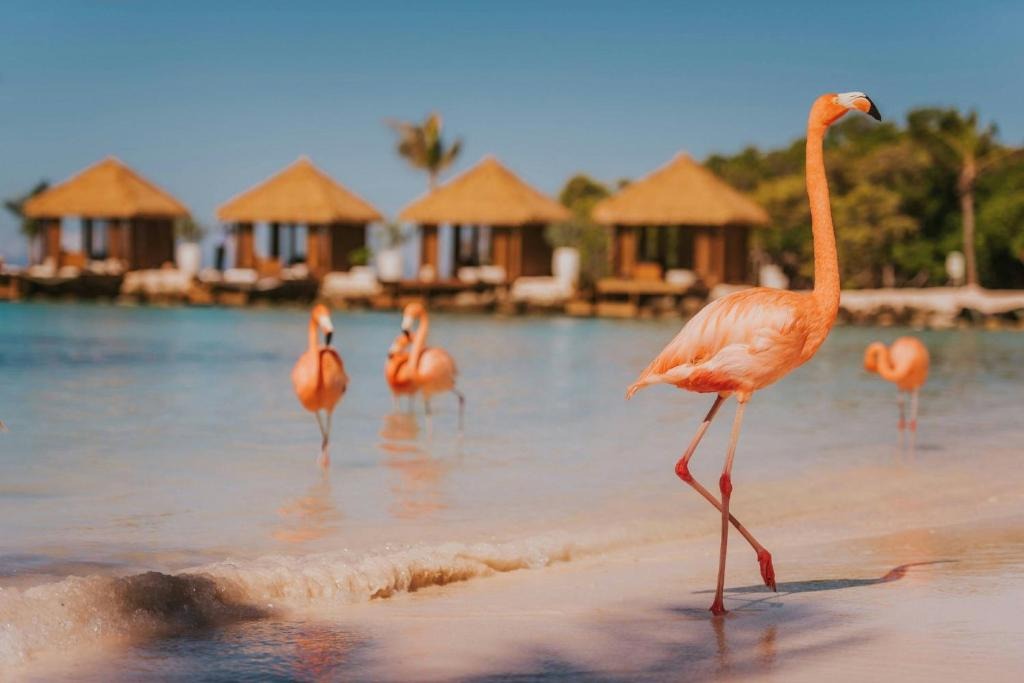 Renaissance Wind Creek Aruba